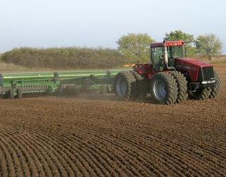 Баришівська зернова компанія завершує сівбу кукурудзи і сої